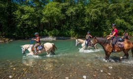 Giffre Valley loop on horse-back