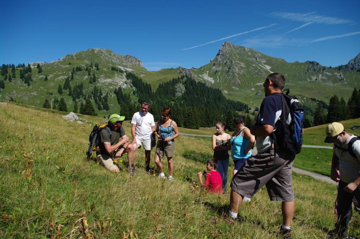 © Col de la Ramaz tourist route - Praz de Lys Sommand Tourisme