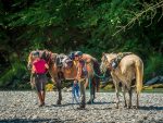 © Sur le Coux trail on horseback - Praz de Lys Sommand Tourisme