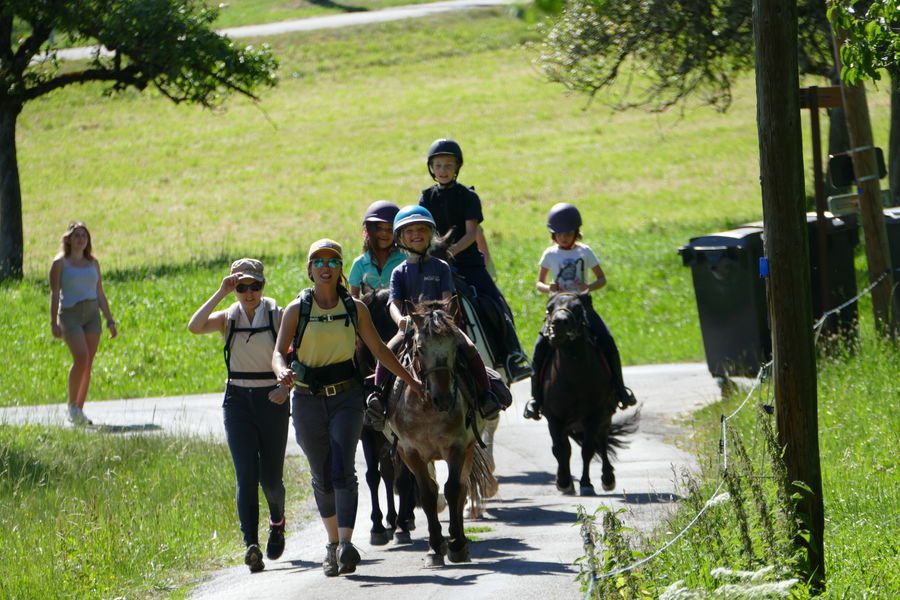 Les Paddocks du Mont Blanc Equestrian Centre