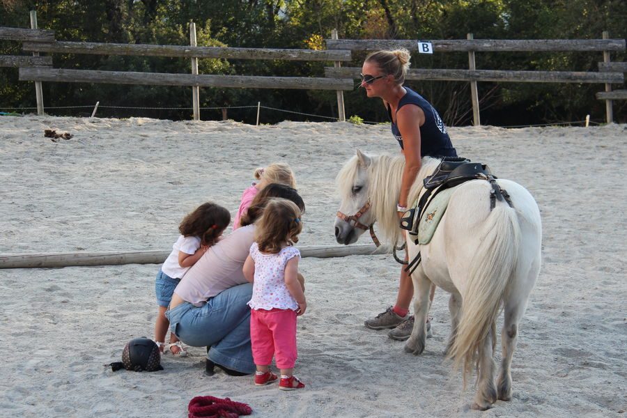 Les Paddocks du Mont Blanc Equestrian Centre