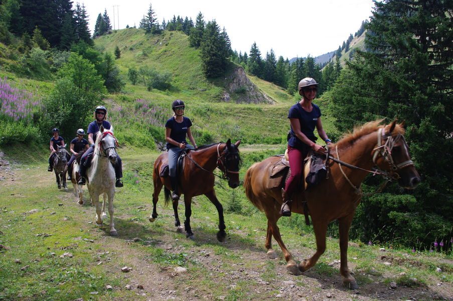 Les Paddocks du Mont Blanc Equestrian Centre