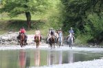 Les Paddocks du Mont Blanc Equestrian Centre