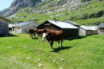 © Rando pédestre au refuge de Sales en 2 jours - Guilhem Vellut - CC BY-SA 2.0