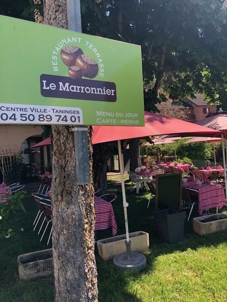 © Le Marronnier - Le Marronnier