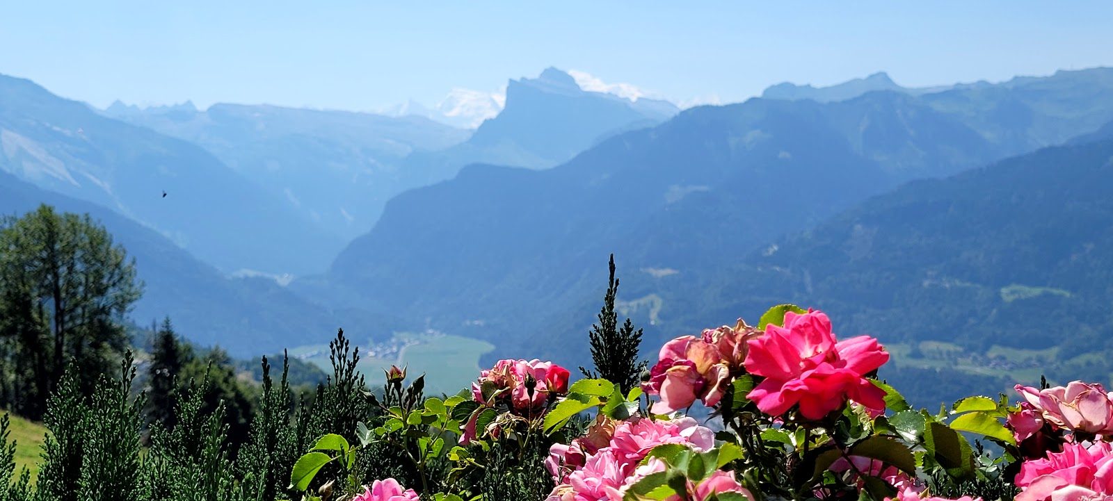 © Snacks at Ferme des Cimes - Google Business