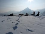 © Dog sledding duo experience in Sommand - Les Traineaux de l'Ubac