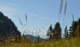 Rando'bus CHALUNE-CHAVASSE - From Praz de Lys