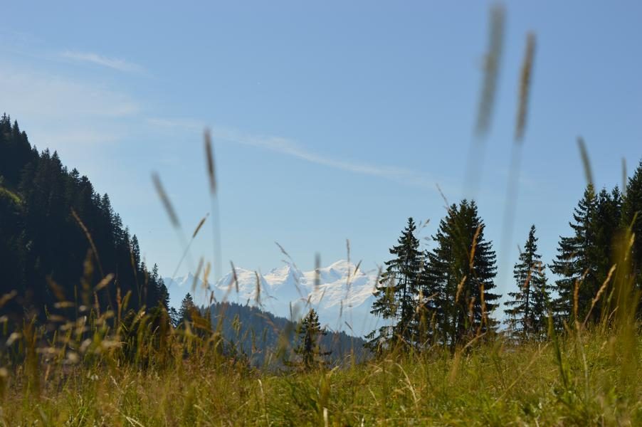 © Rando'bus CHALUNE-CHAVASSE - From Praz de Lys - CCMG