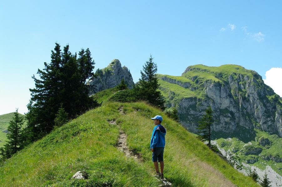 © Rando'bus CHALUNE-CHAVASSE - From Praz de Lys - Praz de lys Sommand