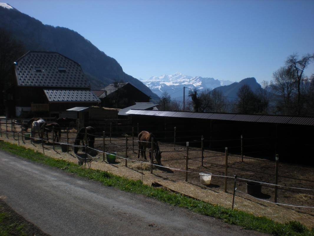 © Les Paddocks du Mont Blanc - Gîtes de France