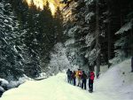 © Discovery outing of the natural reserve of Sixt-Fer-à-Cheval / Passy - Pauline Pretet