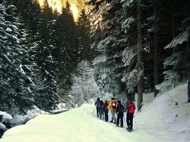 © Special family hike in search of the little mouflon sheep - Pauline Pretet