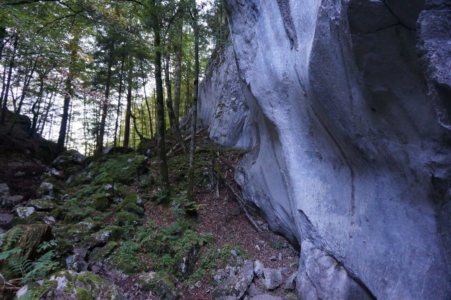 © Les Gorges des Tines - © Laurent Vriez