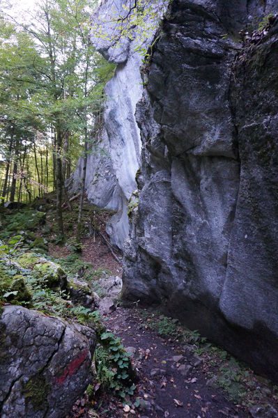 © Les Gorges des Tines - © Laurent Vriez