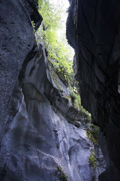 © Les Gorges des Tines - © Laurent Vriez