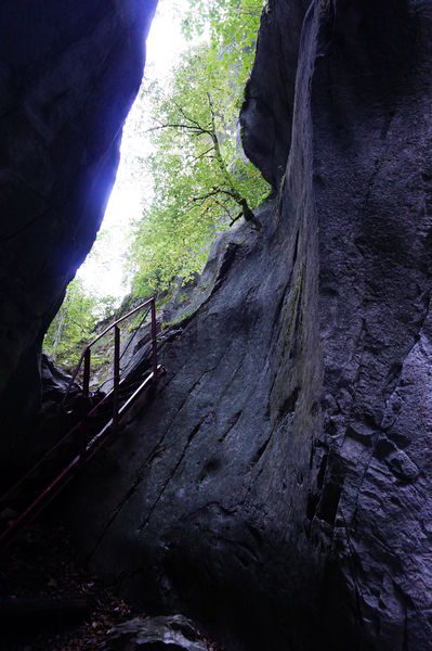 © Les Gorges des Tines - © Laurent Vriez