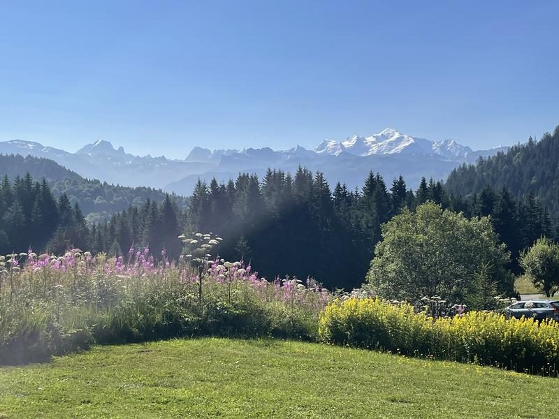 © Chalet Le Marmouset - 40 m² - 508 - Nicolas Buchy