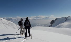 Avalanche risk management training on snowshoes and DVA search. Level 1