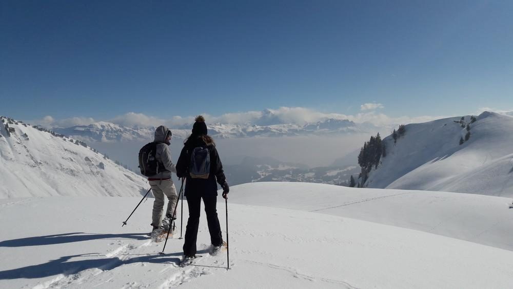 © Avalanche risk management training on snowshoes and DVA search. Level 1_Samoëns - Pauline Pretet