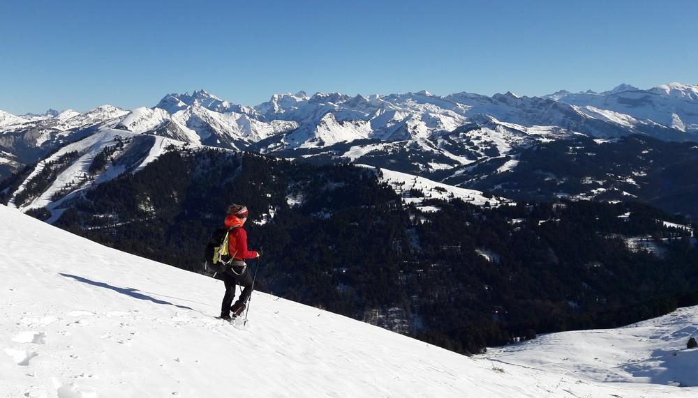 © Avalanche risk management training on snowshoes and DVA search. Level 1_Samoëns - Pauline Pretet