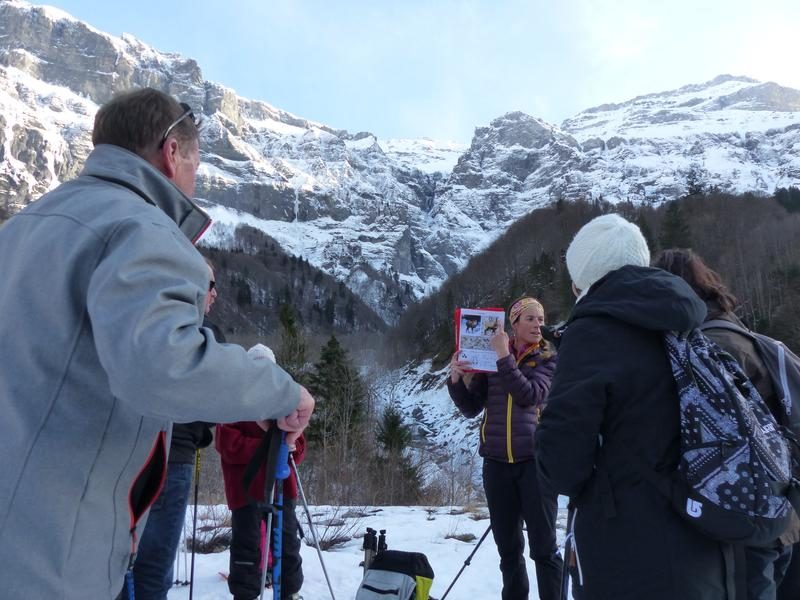 © Discovery outing - Meet the sheep_Samoëns - Pauline Pretet