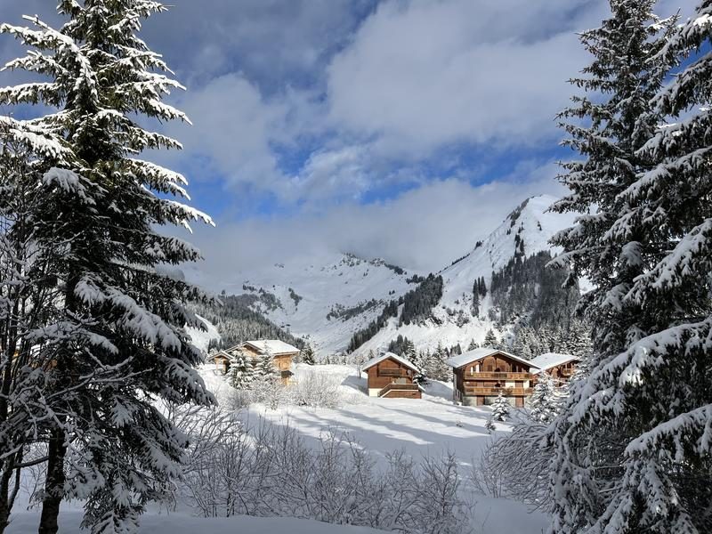 © Chalet Les Trolles - 80 m² - n°807_Taninges - Charlotte Lassourd