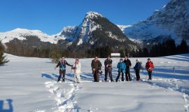 Snowshoe hike through woods and clearings