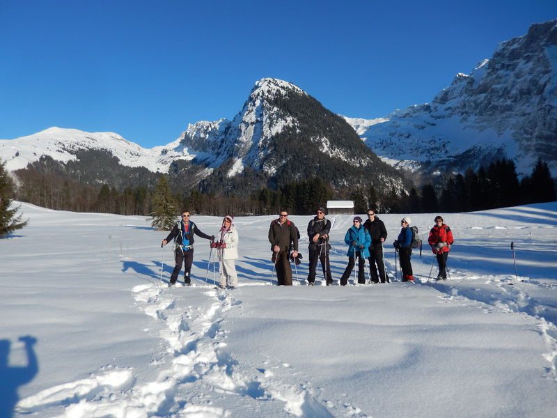 © Snowshoe hike through woods and clearings - ecolorado
