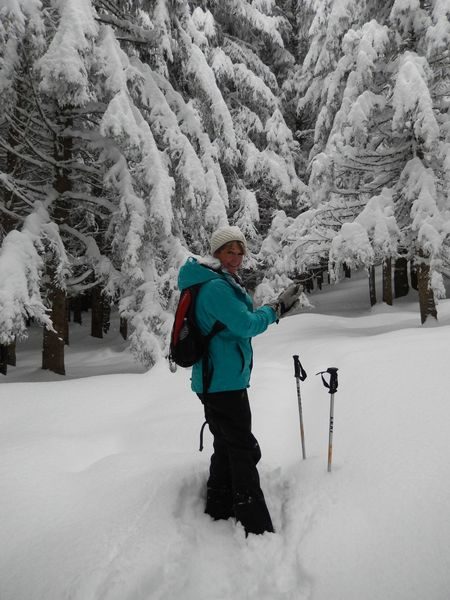© Snowshoe hike through woods and clearings - ecolorado