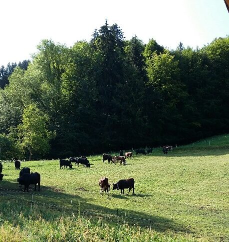 © The Farm "Ferme des Croës Canailles - La Ferme des Croës Canailles