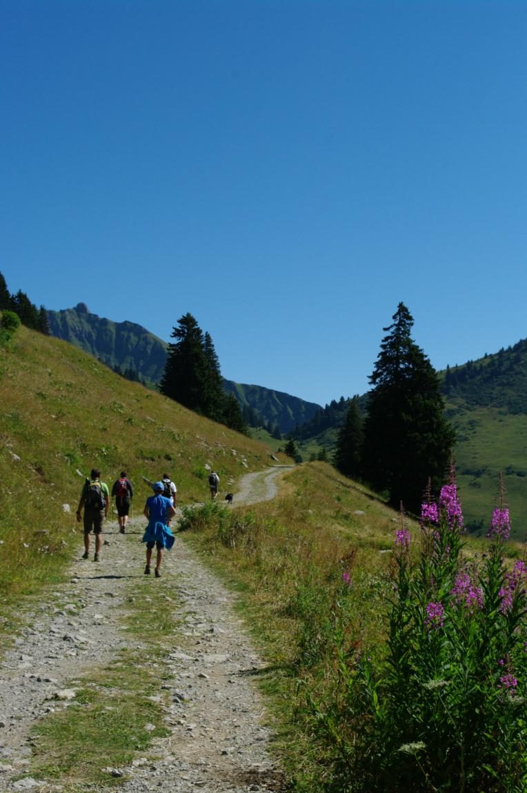 La Pointe de Chalune