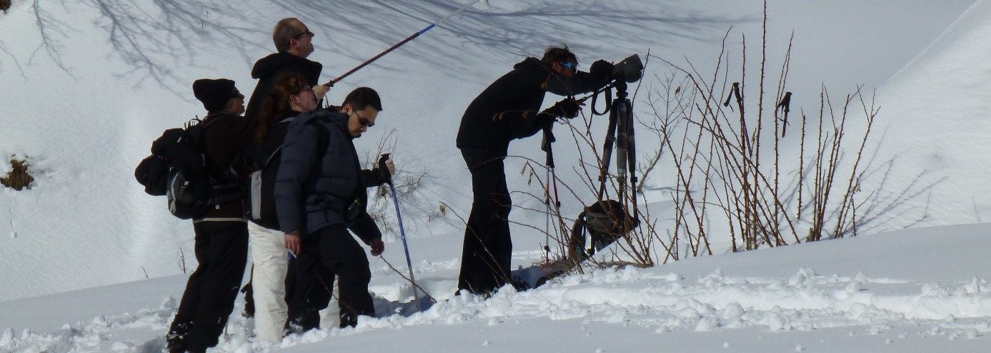 © snowshoeing hike : Wildife Watching - Mathias Mercier