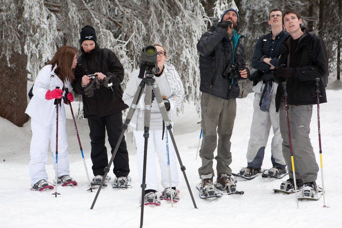 © snowshoeing hike : Wildife Watching - Mathias Mercier