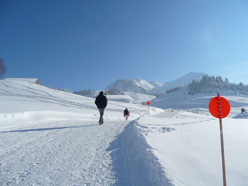 The Col de la Ramaz from Sommand