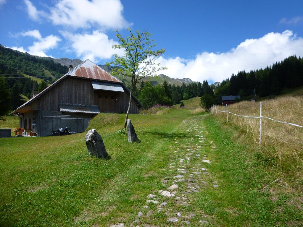 Praz de Lys up the stone path