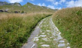 Praz de Lys up the stone path