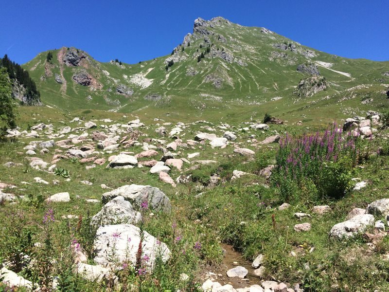 La Pointe de Chalune