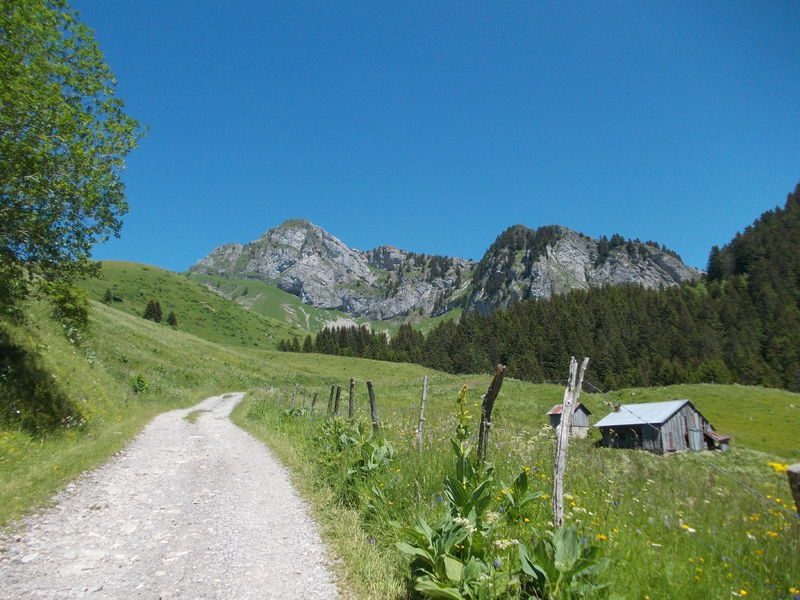 Charmette Alpine pastures