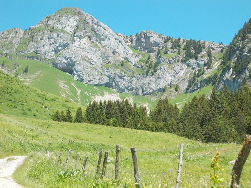 Charmette Alpine pastures