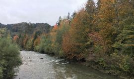 Fishing on Foron river