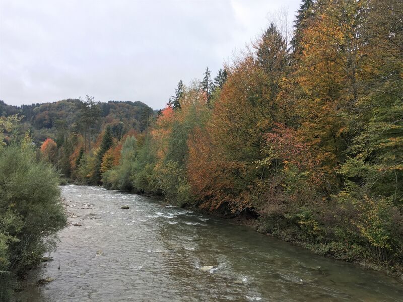 Fishing on Foron river