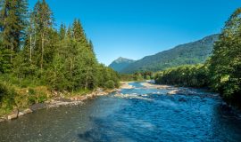 Fishing on Giffre river