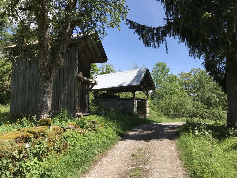 Mont Mailly Mountain Biking Loop