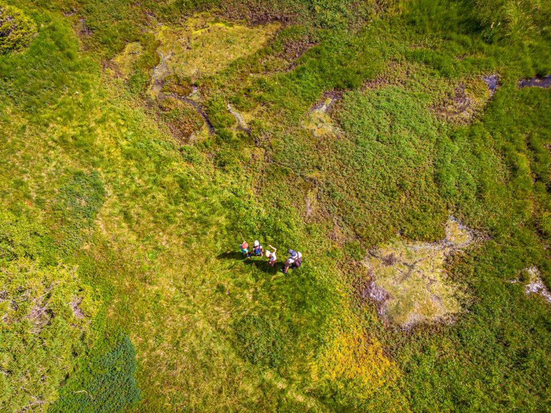 © The Sommand peat bog - Gilles Piel