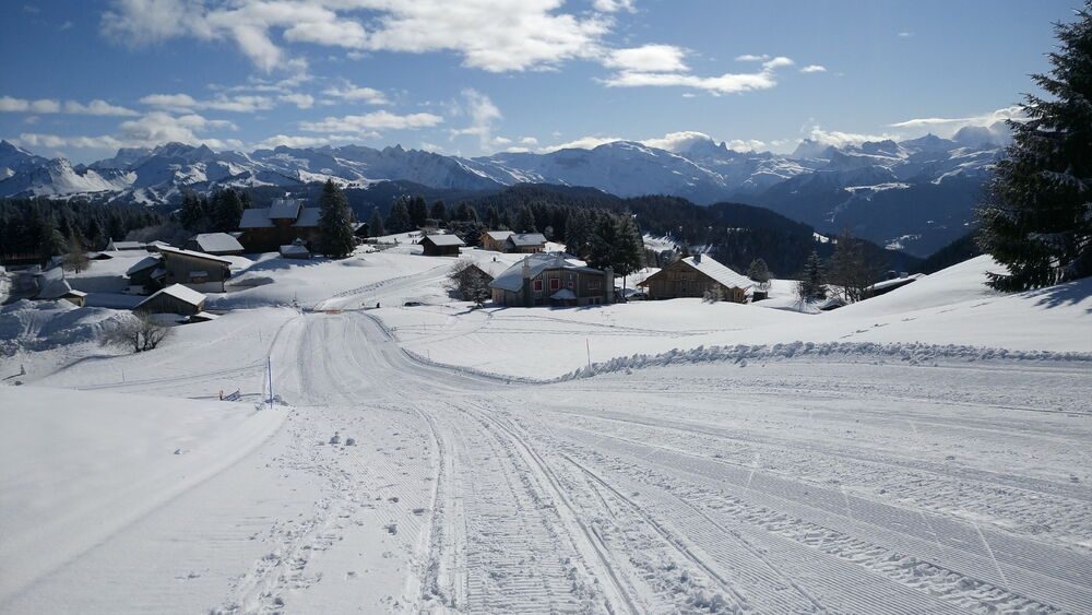 Tour of the centre of the resort