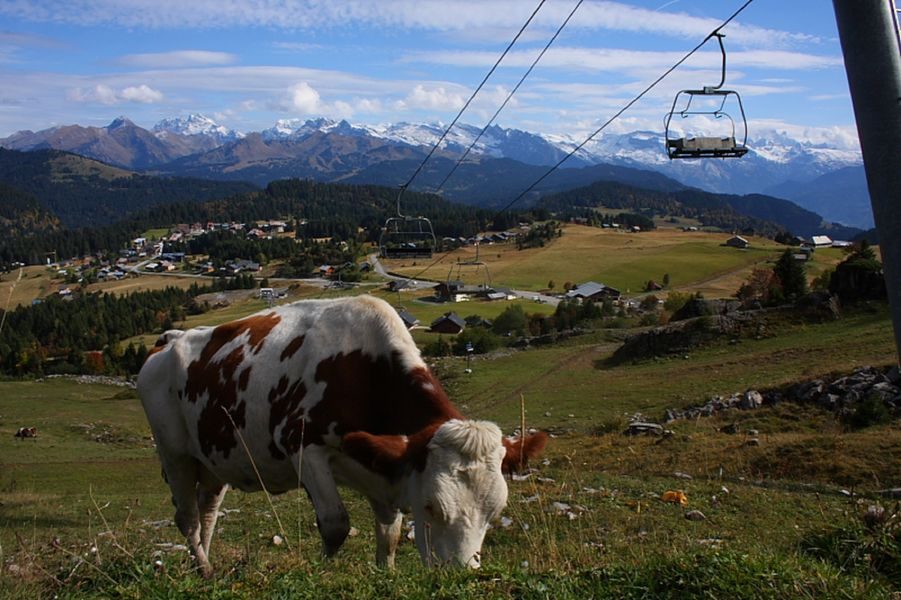 © Hiking : Pic du Marcelly - Conseil Départemental 74