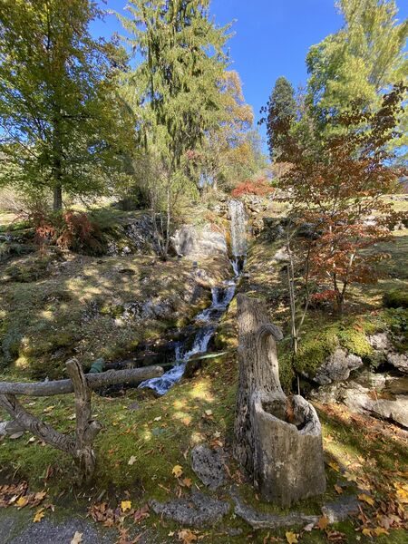 © Alpine Botanical Garden "la Jaÿsinia - Clémence - OT Samoëns