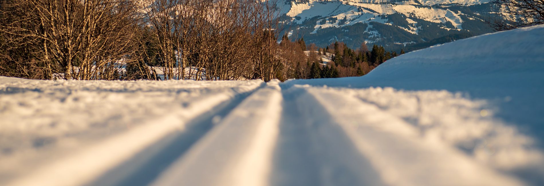 01703 20 Praz ©Gilles Piel